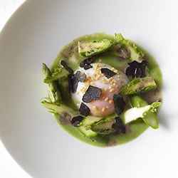 Green asparagus with egg cooked in low temperature, truffle dressing - Restaurant les Remparts